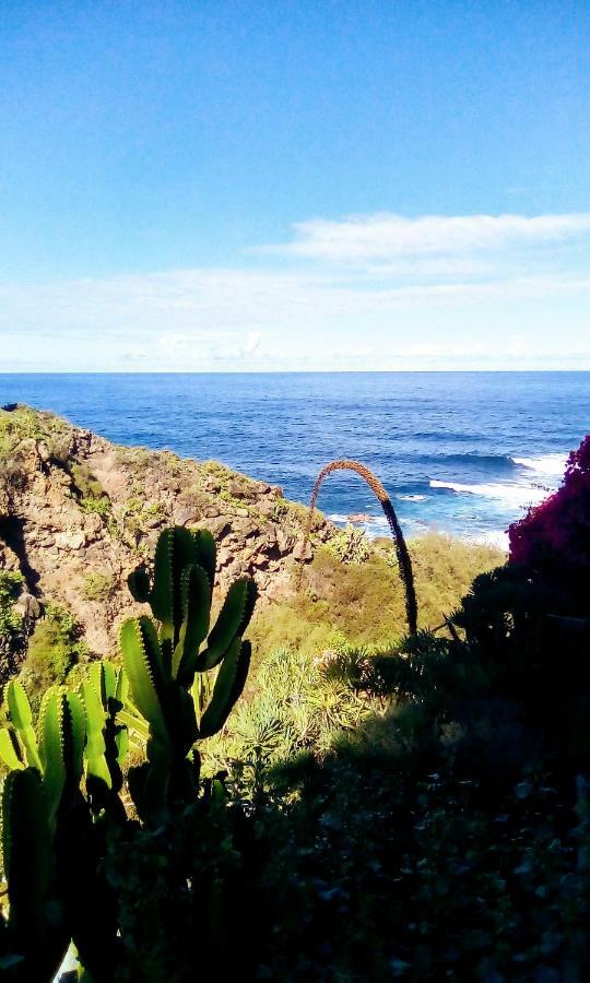 Apartmán La Pardela Oceanfront Los Realejos Exteriér fotografie